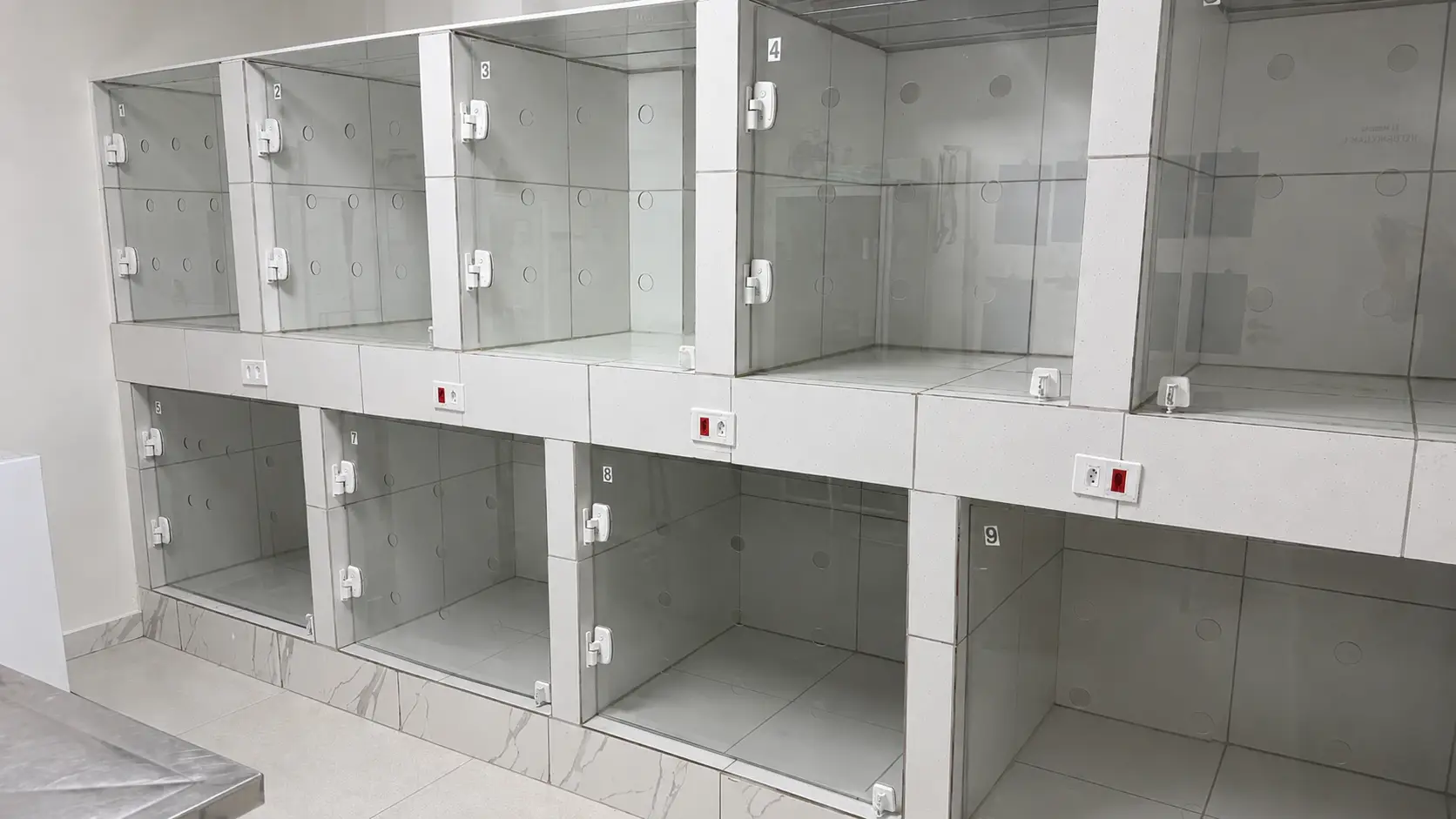 Consultório Veterinário Unidade Santo Amaro